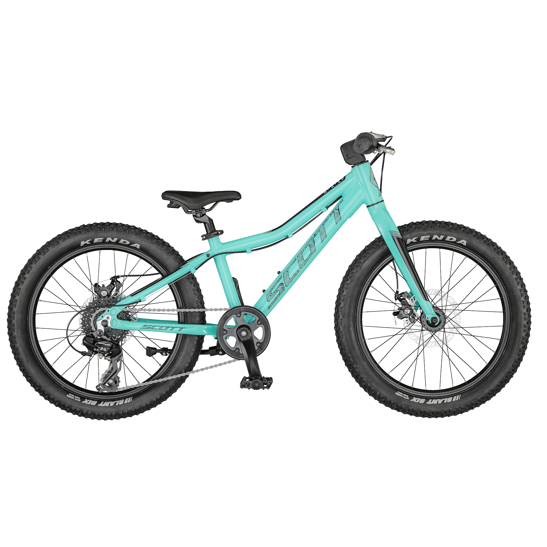 scott roxter 20