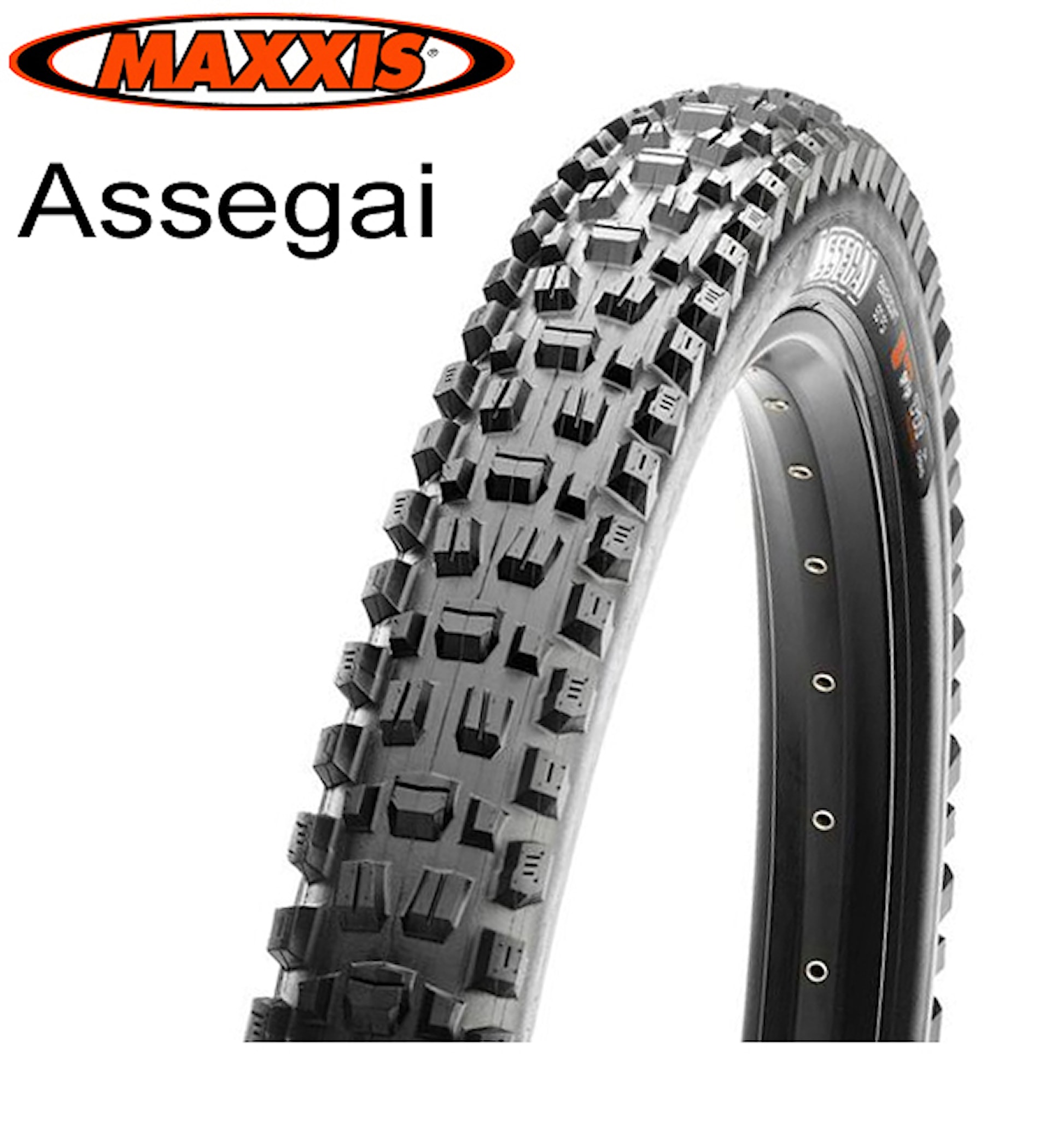 maxxis assegai 29 2.6